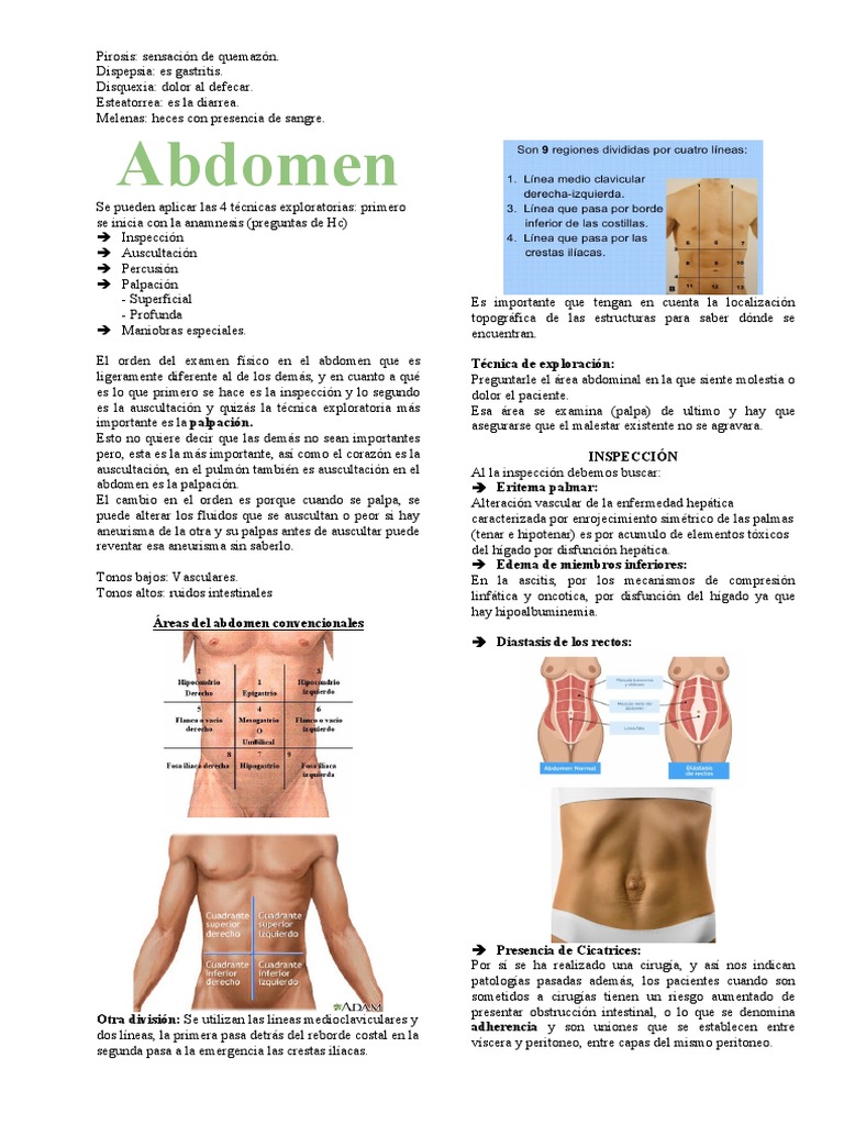 Guía detallada sobre la exploración física del abdomen | PDF | Abdomen ...