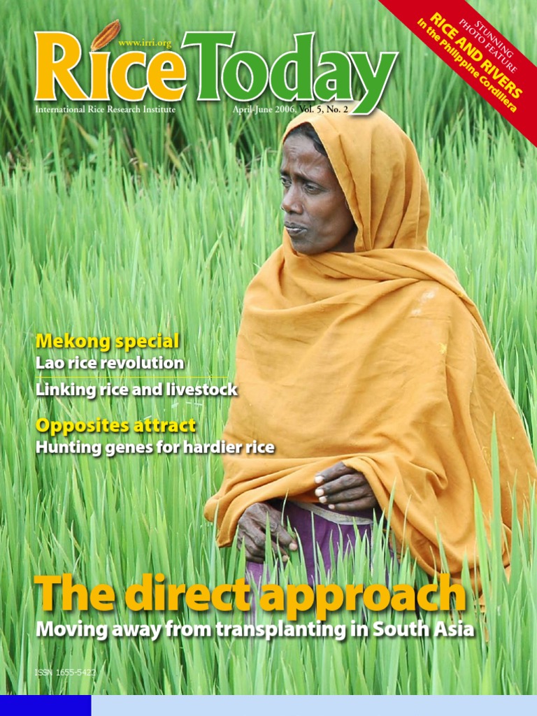 Innovations in Rice Farming Practices | PDF | International Rice ...