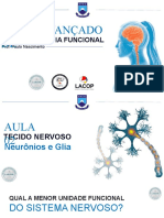 Curso avançado de neuroanatomia funcional