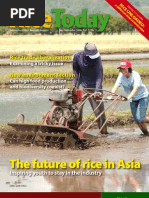 Download Rice Today Volume 5 number 3 by Marco SN6405244 doc pdf