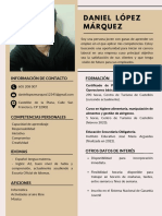 Peach Minimalist Interior Designer Resume