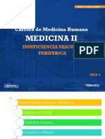 Insuficiencias Vascular Periferica 2023-I