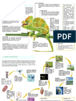 Vida y Biomoléculas: 1. Características de La Vida