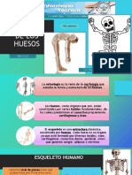 Material S04 Huesos Cuerpo Humano Part 1