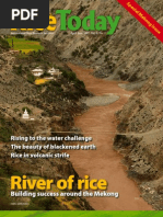 Download Rice Today Volume 6 number 2 by Marco SN6405292 doc pdf