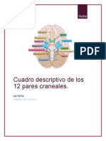 Cuadro Descriptivo de Los Pares Craneales