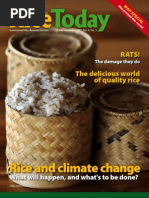 Download Rice Today Volume 6 number 3 by Marco SN6405306 doc pdf