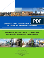 BELLET, C. et al. (Org.). Urbanização, produção e consumo em cidades médias. 2015 A1