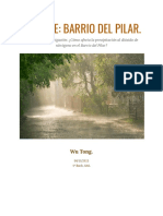 Informe: Barrio Del Pilar