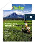 Download Rice Today Volume 1 no 2 by Marco SN6405373 doc pdf
