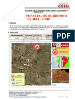 Reporte Complementario #10570 06dic2022 Incendio Forestal en El Distrito de Juli Puno 2