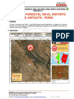 Reporte Complementario #10333 30nov2022 Incendio Forestal en El Distrito de Antauta Puno 1 1