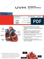 Practica 3 Estructura y Funcion Cardiaca. Conduccion Electrica-1