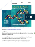 Juan Basabe - DNA Replication 2.pdf - Kami