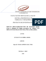 Informe Final Luciano