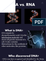 DNA vs RNA: A Comparison of Genetic Structures
