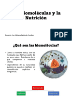 Las Biomoléculas y La Nutrición: Docente: Luz Adriana Calderón Escobar