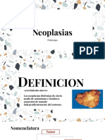 Presentación Neoplasias