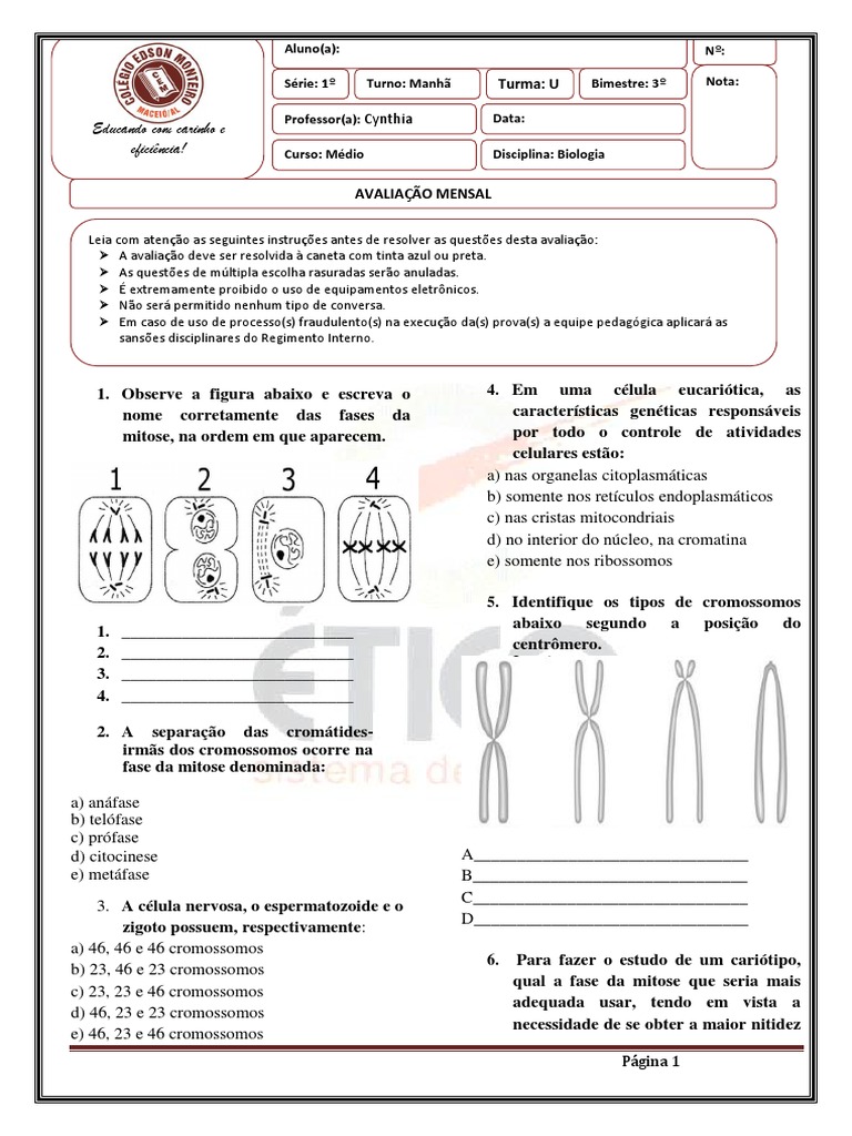 Avaliação de Biologia sobre Mitose | PDF | Mitose | Cromossomo