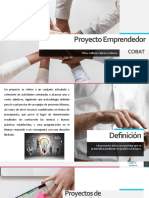 Proyecto Emprendedor: Cobat