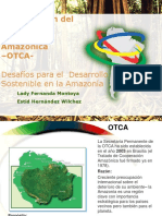 Organización Del Tratado de Cooperación Amazónica - OTCA-: Desafíos para El Desarrollo Sostenible en La Amazonía