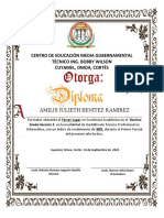 Diploma de Honor 6