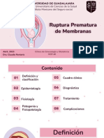 Exposición RPM