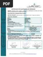 03 Certificado Op. Grúa Articulado Montada en Camión - Enrique Mamani