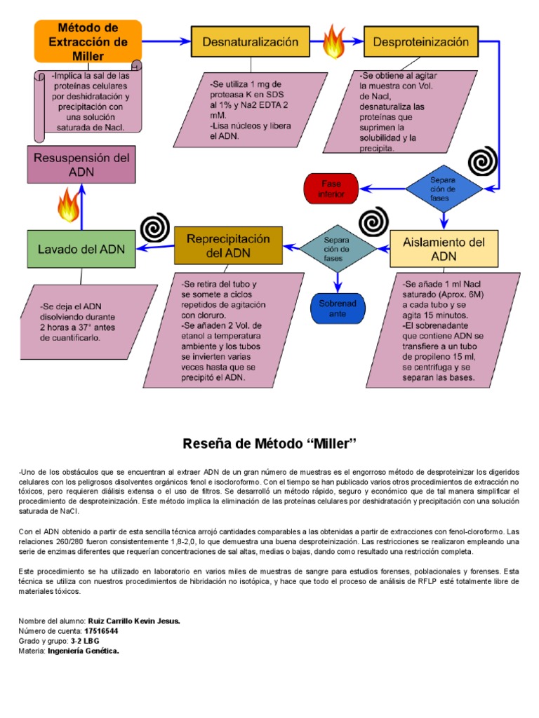 Método Miller: Extracción de ADN Segura | PDF