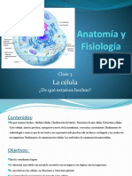 Anatomía y Fisiología: La Célula