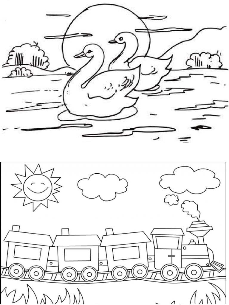 Swan | PDF