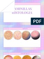 LAMINILLAS HISTOLOGIA