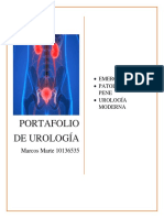 Portafolio de Urologia