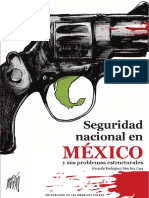 México: Seguridad Nacional en