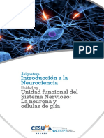 Introducción A La Neurociencia: Unidad Funcional Del Sistema Nervioso: La Neurona y Células de Glía