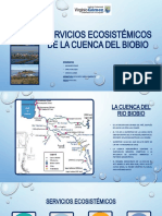 Servicios Ecosistemicos Cuenca Rio Bio Bio