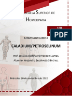 Caladium/Petroselinum: Scuela Uperior de Omeopatia