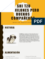 Shi Tzu Dormilones Pero Buenos Compañeros: Hecho Por: Marcelo Eguiluz