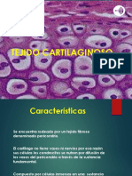 Tejido Cartilaginoso y Oseo