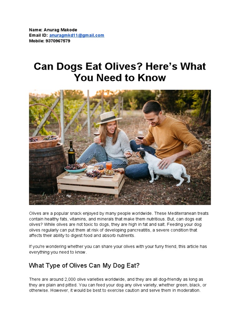 Can Dogs Eat Olives? Here's What You Need To Know PDF Diarrhea Olive