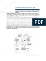 Ingles Medico I: Epithelial Tissues