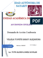 Demanda de Accion Confesoria