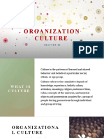 chapter 03- org culture (1)