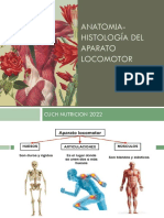 9-Aparato Locomotor