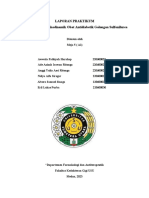 BLOK 7 - Pengamatan Farmakodinamik Obat Antidiabetik Golongan Sulfonilurea - Meja 5 - A - FKG