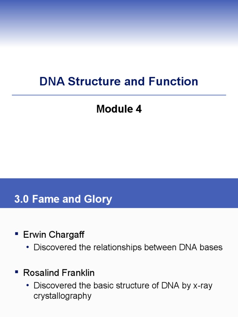 Module 7 - DNA Structure and Function | PDF | Dna | Chromosome