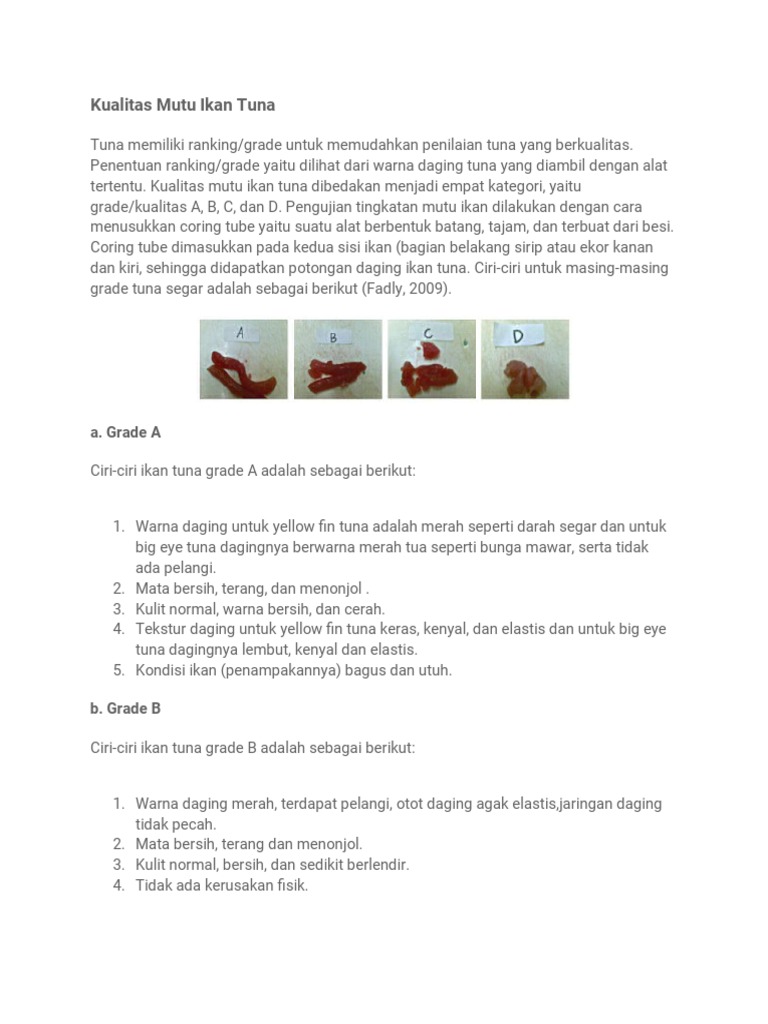 Kualitas dan Grading Ikan Tuna | PDF | Olahraga & Rekreasi