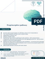 Proprioceptive Pathway: Objectives