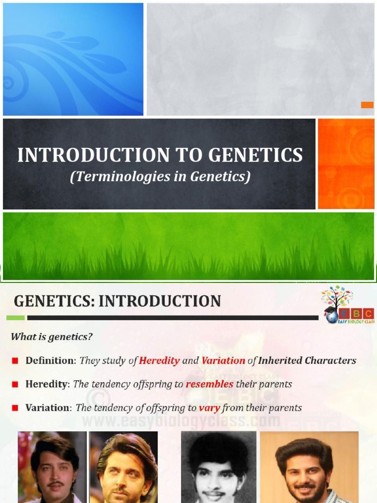 Genetics | PDF | Dominance (Genetics) | Allele