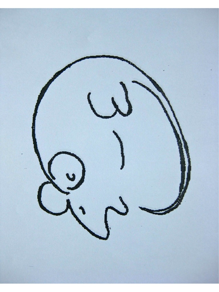 Mouse 1 | PDF